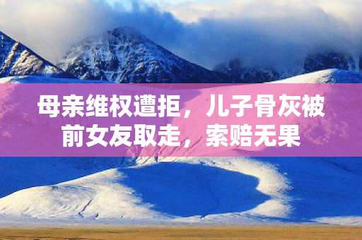 母亲维权遭拒，儿子骨灰被前女友取走，索赔无果