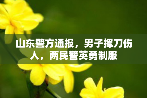 山东警方通报，男子挥刀伤人，两民警英勇制服