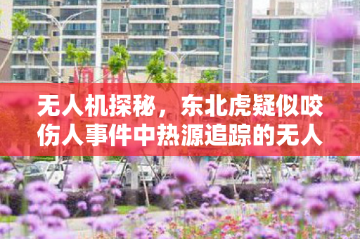 无人机探秘，东北虎疑似咬伤人事件中热源追踪的无人机技术解析