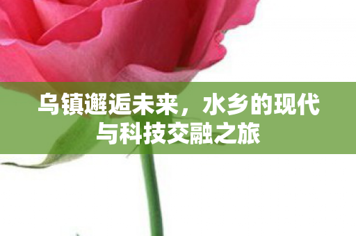 乌镇邂逅未来，水乡的现代与科技交融之旅