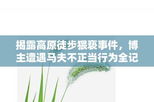 揭露高原徒步猥亵事件，博主遭遇马夫不正当行为全记录