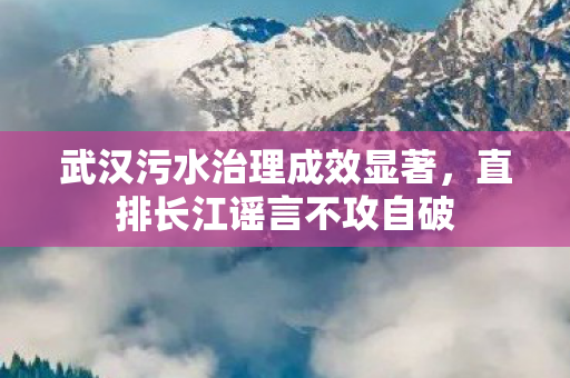 武汉污水治理成效显著，直排长江谣言不攻自破