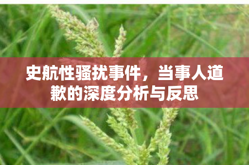 史航性骚扰事件，当事人道歉的深度分析与反思