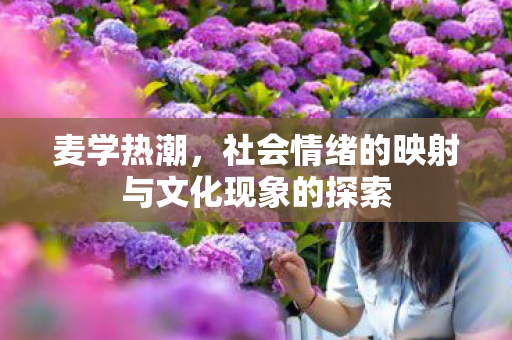 麦学热潮，社会情绪的映射与文化现象的探索