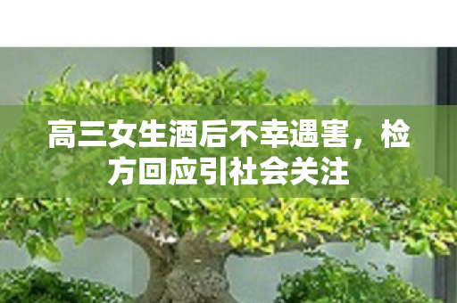 高三女生酒后不幸遇害，检方回应引社会关注