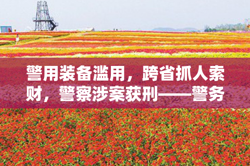 警用装备滥用，跨省抓人索财，警察涉案获刑——警务行为规范之警醒