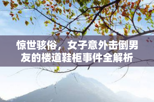 惊世骇俗，女子意外击倒男友的楼道鞋柜事件全解析