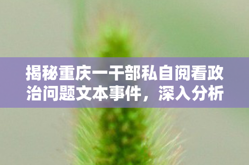 揭秘重庆一干部私自阅看政治问题文本事件，深入分析与全面解读
