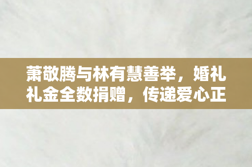 萧敬腾与林有慧善举，婚礼礼金全数捐赠，传递爱心正能量
