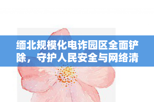 缅北规模化电诈园区全面铲除，守护人民安全与网络清朗