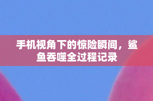 手机视角下的惊险瞬间，鲨鱼吞噬全过程记录
