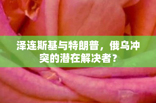 泽连斯基与特朗普，俄乌冲突的潜在解决者？