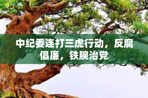 中纪委连打三虎行动，反腐倡廉，铁腕治党