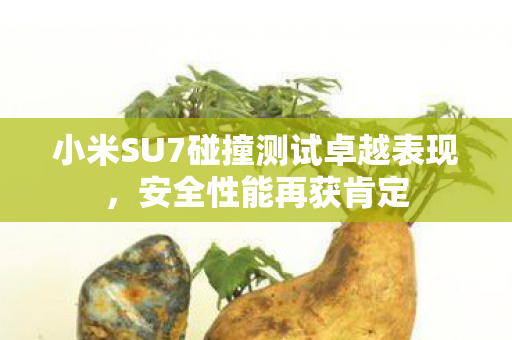 小米SU7碰撞测试卓越表现，安全性能再获肯定