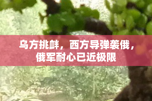 乌方挑衅，西方导弹袭俄，俄军耐心已近极限