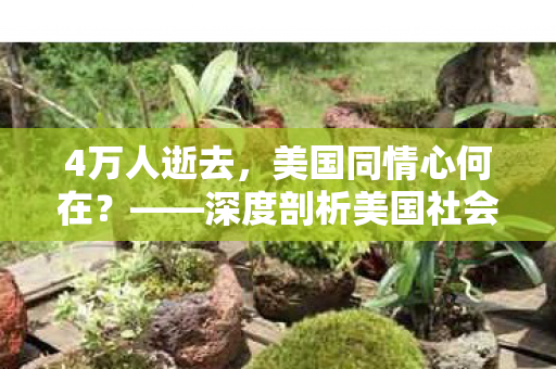 4万人逝去，美国同情心何在？——深度剖析美国社会反应与反思