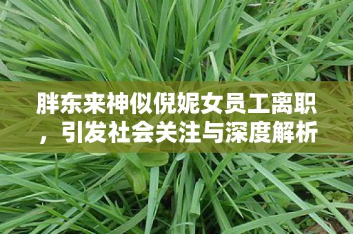 胖东来神似倪妮女员工离职，引发社会关注与深度解析