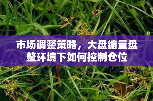 市场调整策略，大盘缩量盘整环境下如何控制仓位