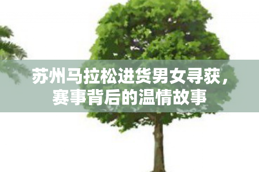 苏州马拉松进货男女寻获，赛事背后的温情故事