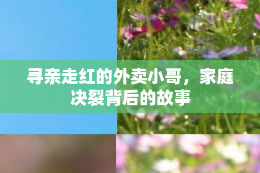 寻亲走红的外卖小哥，家庭决裂背后的故事