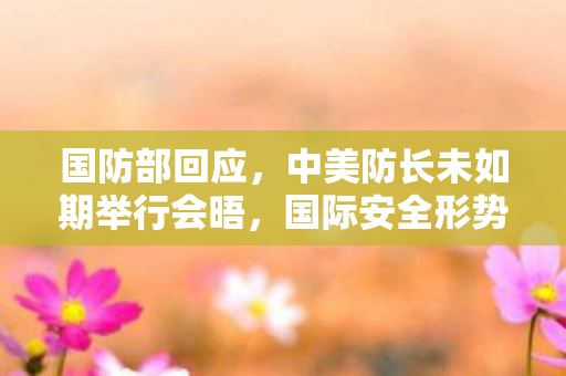 国防部回应，中美防长未如期举行会晤，国际安全形势引关注