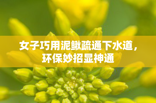 女子巧用泥鳅疏通下水道，环保妙招显神通