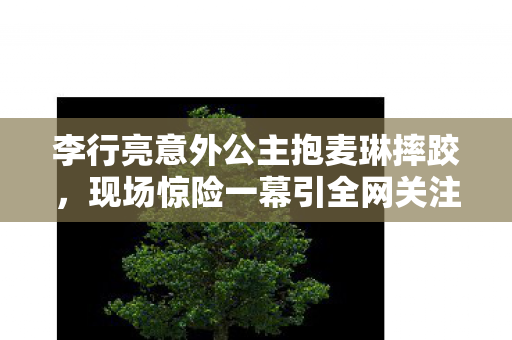 李行亮意外公主抱麦琳摔跤，现场惊险一幕引全网关注