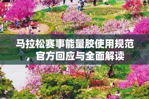 马拉松赛事能量胶使用规范，官方回应与全面解读