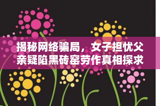 揭秘网络骗局，女子担忧父亲疑陷黑砖窑劳作真相探求
