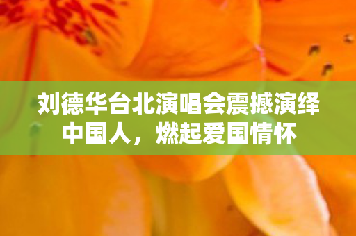 刘德华台北演唱会震撼演绎中国人，燃起爱国情怀