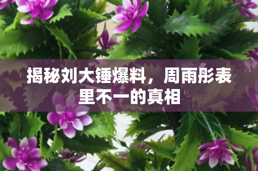 揭秘刘大锤爆料，周雨彤表里不一的真相