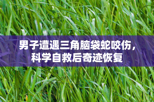 男子遭遇三角脑袋蛇咬伤，科学自救后奇迹恢复