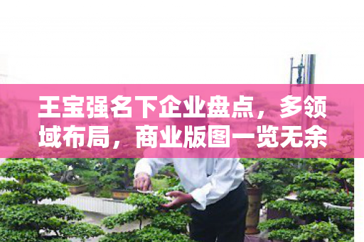 王宝强名下企业盘点，多领域布局，商业版图一览无余