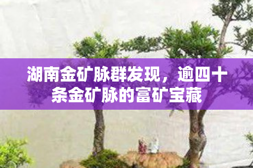 湖南金矿脉群发现，逾四十条金矿脉的富矿宝藏