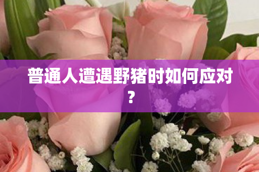 普通人遭遇野猪时如何应对？