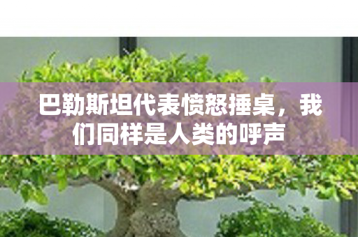 巴勒斯坦代表愤怒捶桌，我们同样是人类的呼声
