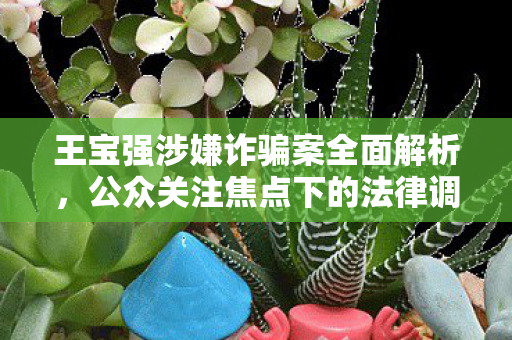 王宝强涉嫌诈骗案全面解析，公众关注焦点下的法律调查