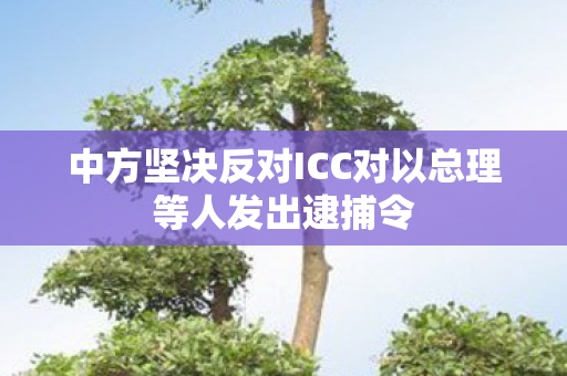 中方坚决反对ICC对以总理等人发出逮捕令