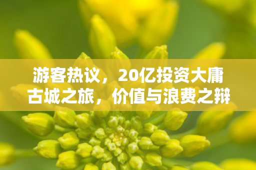 游客热议，20亿投资大庸古城之旅，价值与浪费之辩