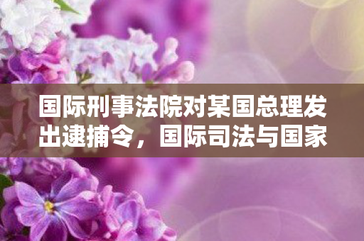 国际刑事法院对某国总理发出逮捕令，国际司法与国家治理的碰撞与思考